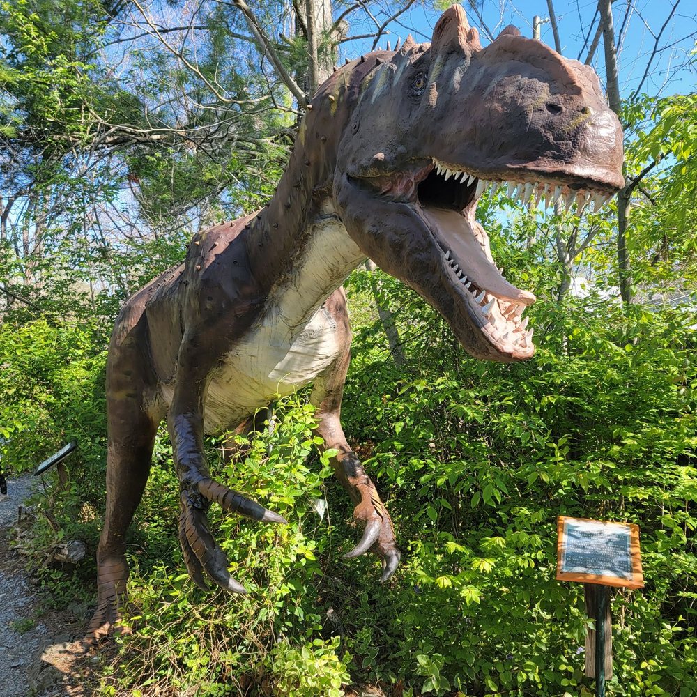 Backyard Terrors Dinosaur Park - Amusement Parks Near Me - Bluff City, Tennessee Backyard Terrors Dinosaur Park - Amusement Parks Near Me - Bluff City, Tennessee