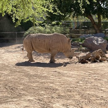 Reid Park Zoo - Zoos Near Me - Tucson, Arizona