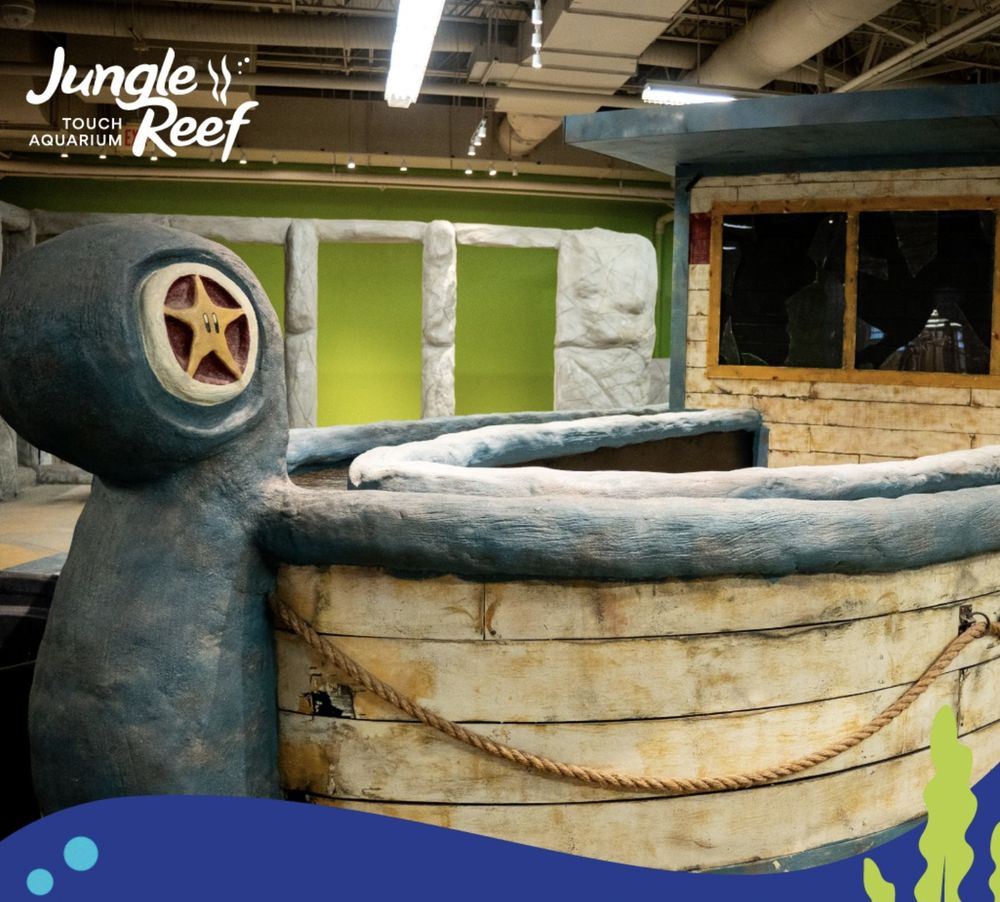 JUNGLE REEF Updated May 2024 750 Sunland Park Dr, El Paso, Texas