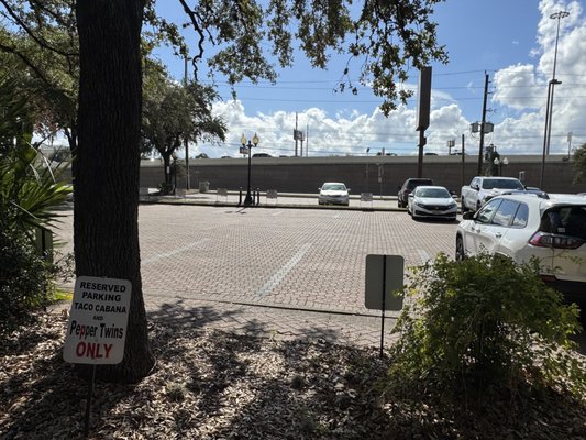 Pepper Twins by null