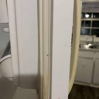 Tanglewood Apartments - Roaches - Apartments Near Me - Eustis, Florida