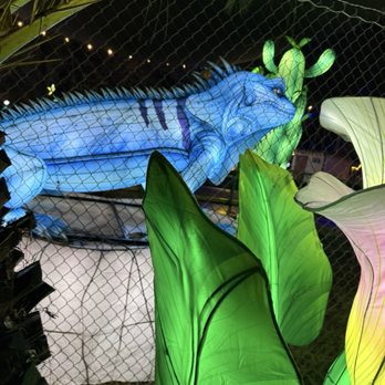 Glowfari - Zoos Near Me - Oakland, California Glowfari - Zoos Near Me - Oakland, California
