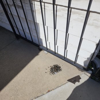 Green Hill Solar - Just a few of the nails my kids and I found around our property from the roofer after we were told that they perform a daily clean up. - Solar Installation Near Me - Los Angeles, California