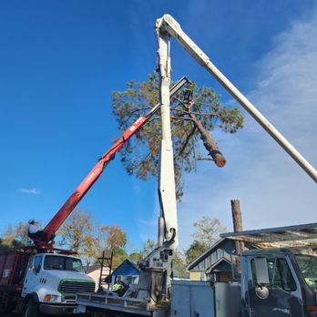 BLT Tree Service - Tree Services Near Me - Pooler, Georgia BLT Tree Service - Tree Services Near Me - Pooler, Georgia