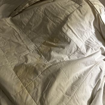 Quality Inn & Suites South Bend Airport - Stained comforter - Hotels Near Me - South Bend, Indiana Quality Inn & Suites South Bend Airport - Stained comforter - Hotels Near Me - South Bend, Indiana