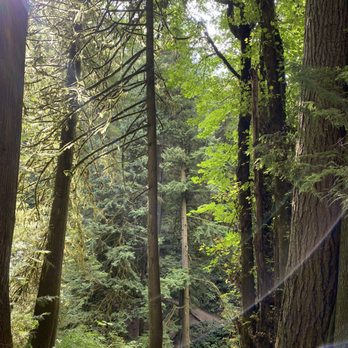 McCormick Forest Park - Forest - Parks Near Me - Gig Harbor, Washington