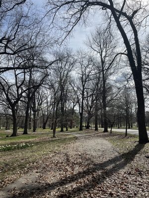Tower Grove Park by null