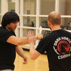 Dark Horse Eskrima Martial Arts Academy