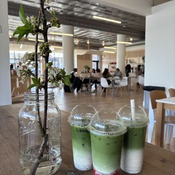 Moona Moono - Matcha Strawberry, Matcha Lavender, Regular Matcha Latte - Coffee & Tea Near Me - Uptown Minneapolis, Minnesota Moona Moono - Matcha Strawberry, Matcha Lavender, Regular Matcha Latte - Coffee & Tea Near Me - Uptown Minneapolis, Minnesota