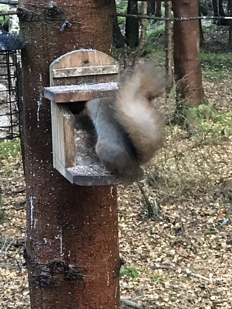 Speyside Heather Centre