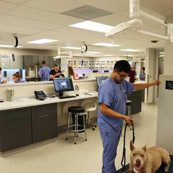 Mercy Veterinary Hospital