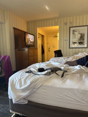 Hartford Marriott Downtown by null
