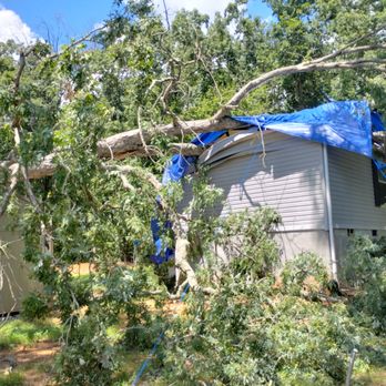 Scalla - Tree Services Near Me - Chatham, Virginia Scalla - Tree Services Near Me - Chatham, Virginia