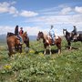 A-Ok Corral