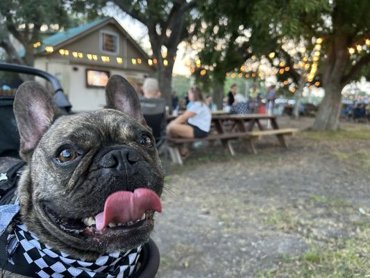 Penny’s Beer Garden