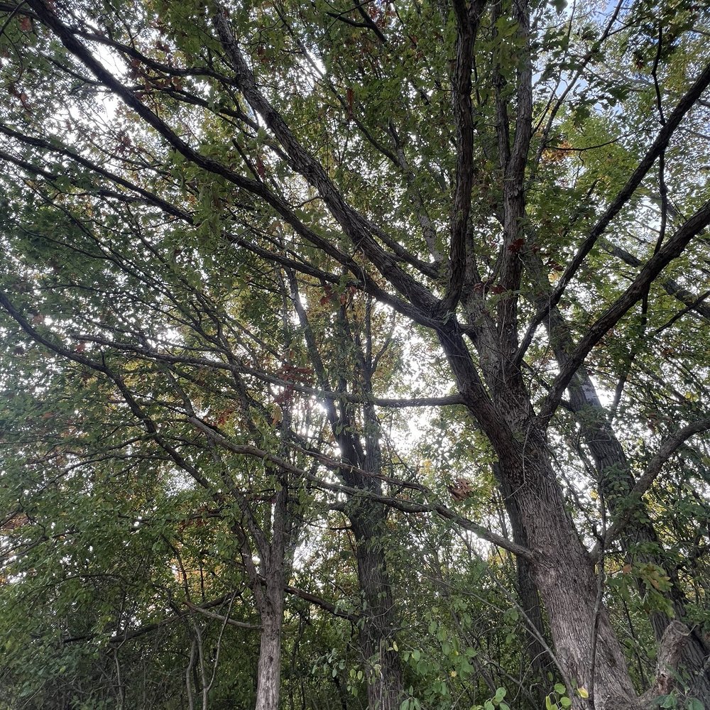 Crabtree Nature Center - Hiking Near Me - Barrington, Illinois Crabtree Nature Center - Hiking Near Me - Barrington, Illinois