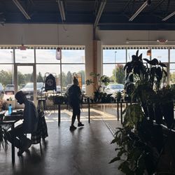 The Greenhouse