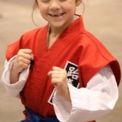 American Martial Arts Academy - Naperville - #1 Taekwondo instruction, American Martial Arts Academy -Naperville