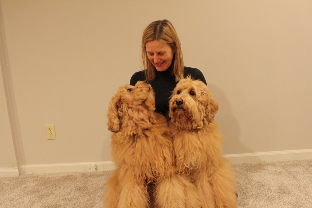 GOLDEN DOODLE DOOS Overland Park, Kansas Pet Groomers Phone