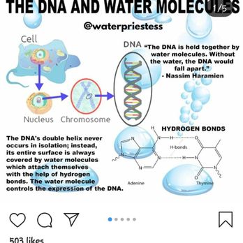 The Good Water Store Redding - a diagram of the dna and water molecules - Water Stores Near Me - Redding, California The Good Water Store Redding - a diagram of the dna and water molecules - Water Stores Near Me - Redding, California