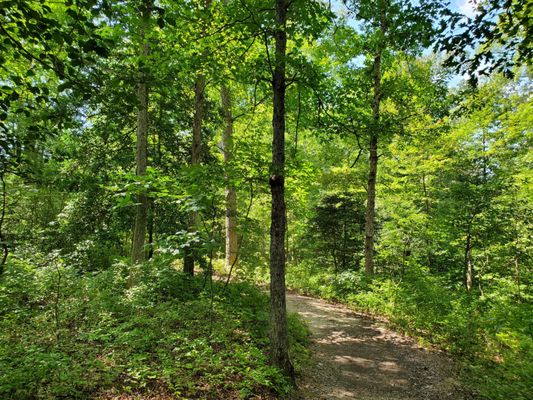 Cold Harbor Battlefield Visitor Center by null