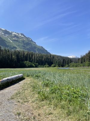 Above and Beyond Alaska by null