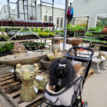 Ritters Garden & Gift - Check out all the fountains they have!!! - Nurseries & Gardening Near Me - Spokane, Washington