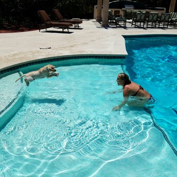 A & J Ultimate Pet Sitting Service - Swim lessons with Jan! - Dog Walkers Near Me