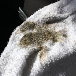 This is what was on my gear shift lever after they finished with my car. Do not go to American Polishing & Plating.