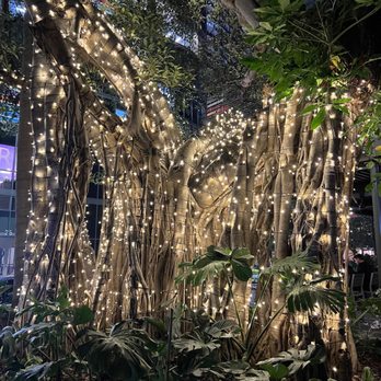 Moxies - Lounges Near Me - Miami, Florida