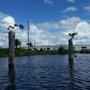 Photo of Slim's Fish Camp