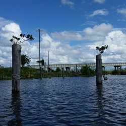 Slim's Fish Camp - Lake O bonsai