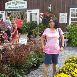 Briar Rose Greenhouses - 30 Aug2014 - Briar Rose Greenhouse is outstanding. The Fall Mums are so big.