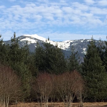 Clark Fork Lodge - View from my downstairs rm - Hotels Near Me - Clark Fork, Idaho