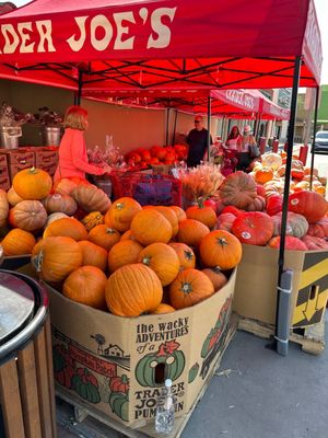 Trader Joe's by null