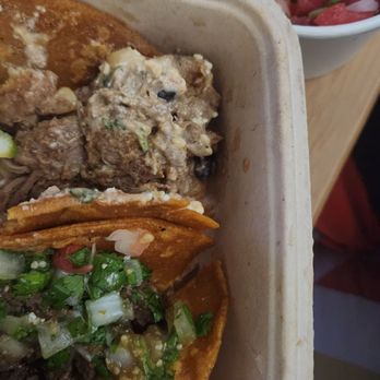 Talkin' Tacos - Carne asada taco and pico - Tacos Near Me - Orlando, Florida Talkin' Tacos - Carne asada taco and pico - Tacos Near Me - Orlando, Florida