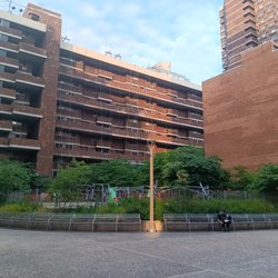Gothamist