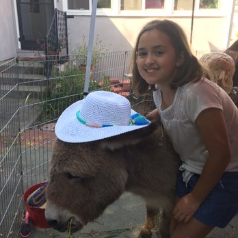 Little Reds Barnyard Friends - Petting Zoos Near Me