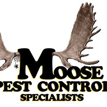 Moose Pest Control - Go Big with the Moose! A name you can trust. Call today! - Pest Control Near Me Moose Pest Control - Go Big with the Moose! A name you can trust. Call today! - Pest Control Near Me