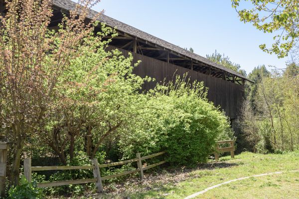Felton Covered Bridge by null