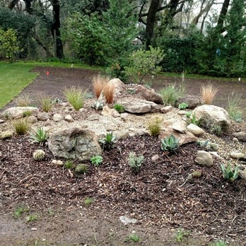 Paz Landscape - Dryscape - Landscaping Near Me - Sonoma, California Paz Landscape - Dryscape - Landscaping Near Me - Sonoma, California