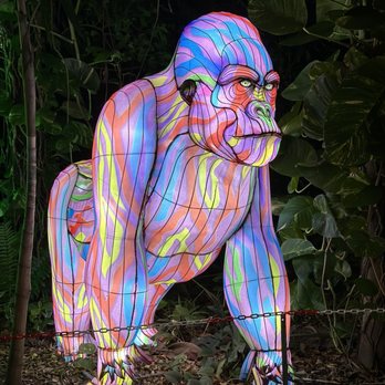 Jungle Island - Amusement Parks Near Me - Miami, Florida Jungle Island - Amusement Parks Near Me - Miami, Florida
