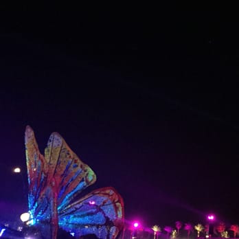 Coachella - Butterfree at night - Festivals Near Me - Indio, California Coachella - Butterfree at night - Festivals Near Me - Indio, California