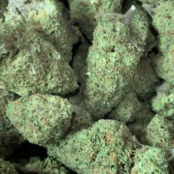 Pott County Hide-Out - Cannabis Clinics Near Me - Tecumseh, Oklahoma