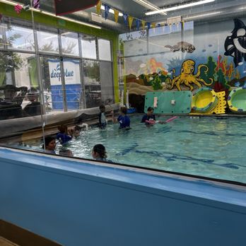 Deep Blue Swim School - Cute view of the people, this is about half of the area. - Swimming Lessons/Schools Near Me - Long Beach, California