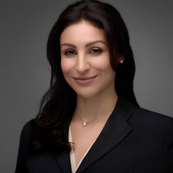 Taghavi Immigration Law