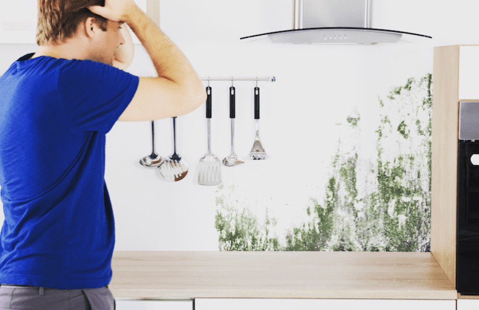 Mold No More - mold inspector in Clinton Township, MI