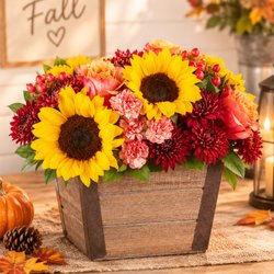 My Easy Flowers