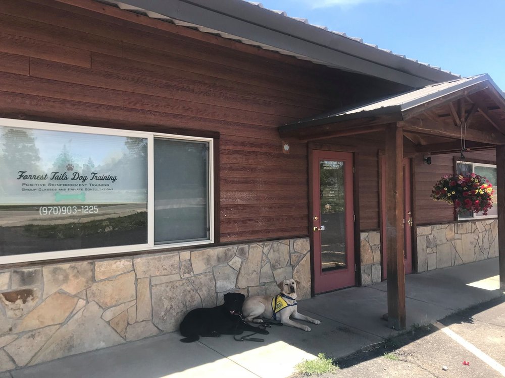 FORREST TAILS DOG TRAINING Updated October 2024 10 Photos 953