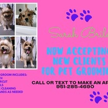 Waggin Wheels - Pet Groomers Near Me Waggin Wheels - Pet Groomers Near Me